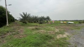 Land for sale in Bueng Nam Rak, Chachoengsao