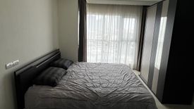 1 Bedroom Condo for rent in Aspire Sukhumvit 48, Phra Khanong, Bangkok near BTS Phra Khanong