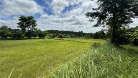 ขายที่ดิน ใน ภูปอ, เมืองกาฬสินธุ์