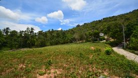 Land for sale in Mae Nam, Surat Thani