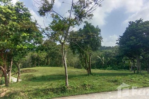 Land for sale in Mae Nam, Surat Thani