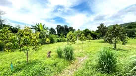 Land for sale in Bung Namtao, Phetchabun