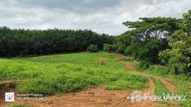 ขายที่ดิน ใน แม่ข้าวต้ม, เมืองเชียงราย