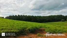 Land for sale in Mae Khao Tom, Chiang Rai