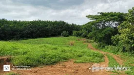 Land for sale in Mae Khao Tom, Chiang Rai