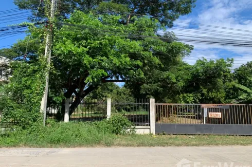 Land for sale in Nong Khwai, Chiang Mai