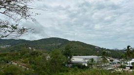 Land for sale in Bo Phut, Surat Thani