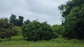 Land for sale in Makhun Wan, Chiang Mai