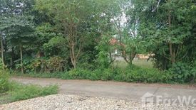 Land for sale in Khilek, Chiang Mai