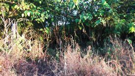 Land for sale in Bung Khla, Phetchabun