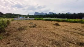 Land for sale in Nong Thale, Krabi