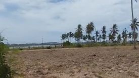 Land for sale in Nong Prue, Chonburi