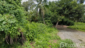 Land for sale in Yang Noeng, Chiang Mai