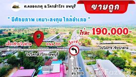 ขายที่ดิน ใน คลองเกตุ, โคกสำโรง