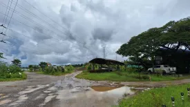 Land for sale in Tha Sai, Chiang Rai