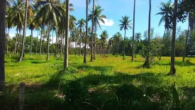 Land for sale in Pa Khlok, Phuket