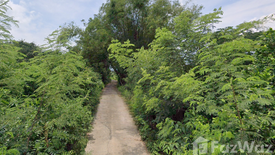 Land for sale in Phitphian, Phra Nakhon Si Ayutthaya