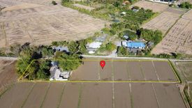 Land for sale in Rong Wua Daeng, Chiang Mai