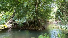 ขายที่ดิน ใน หินดาด, ทองผาภูมิ