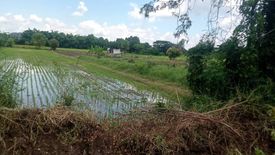 ขายที่ดิน ใน พระลับ, เมืองขอนแก่น