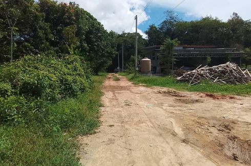 Land for sale in Pa Khlok, Phuket