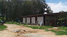 Land for sale in Pa Khlok, Phuket