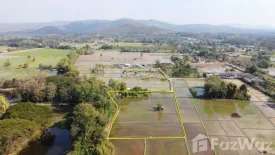 Land for sale in Huai Sai, Chiang Mai