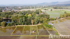 Land for sale in Huai Sai, Chiang Mai