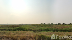 ขายที่ดิน ใน ลำลูกกา, ลำลูกกา