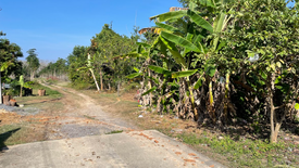 ขายที่ดิน ใน โคกกลอย, ตะกั่วทุ่ง