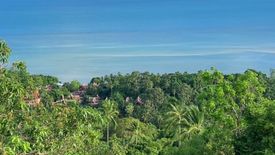 Land for sale in Na Mueang, Surat Thani