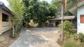 Land for sale in Yang Noeng, Chiang Mai