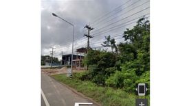 Land for sale in Non Pho, Amnat Charoen