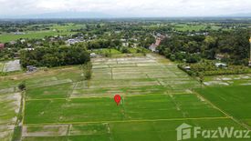 Land for sale in Rong Wua Daeng, Chiang Mai