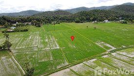 Land for sale in Rong Wua Daeng, Chiang Mai