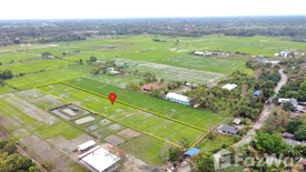 Land for sale in Rong Wua Daeng, Chiang Mai