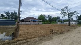 Land for sale in San Klang, Chiang Mai