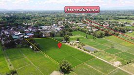 Land for sale in Rong Wua Daeng, Chiang Mai