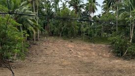 Land for sale in Taling Ngam, Surat Thani