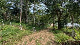 Land for sale in Taling Ngam, Surat Thani