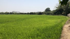 Land for sale in Khilek, Chiang Mai