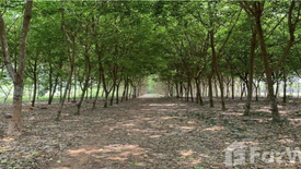 Land for sale in Phlong Ta Iam, Rayong