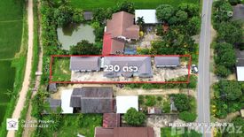 4 Bedroom House for sale in Than Thong, Chiang Rai