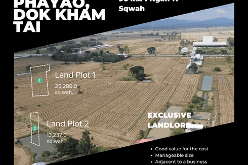 Land for sale in Dok Khamtai, Phayao