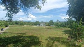 Land for sale in Mae Nam, Surat Thani