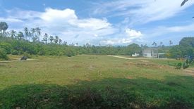 Land for sale in Mae Nam, Surat Thani