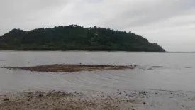 Land for sale in Taling Ngam, Surat Thani