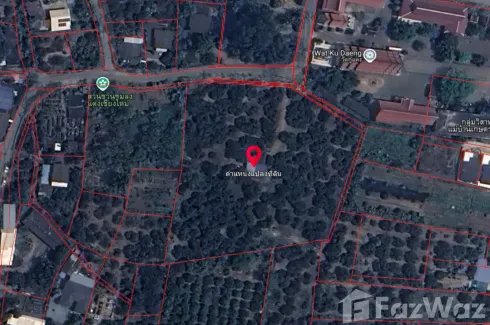 Land for sale in Nong Faek, Chiang Mai