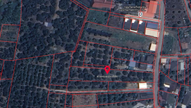 Land for sale in Nong Faek, Chiang Mai