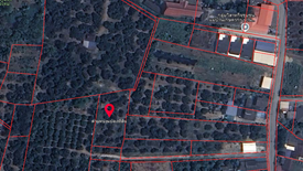 Land for sale in Nong Faek, Chiang Mai